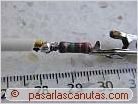 foto de soldadura de cablecillos de oropel a resistencia