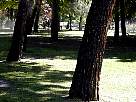 retiro32.JPG